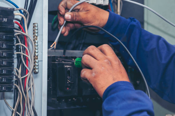 Best Home Electrical Repair  in Salamatof, AK